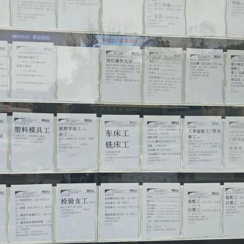 周巷最新招聘信息汇总