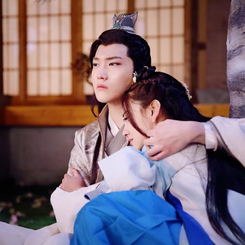 双世宠妃小说最新动态深度解析