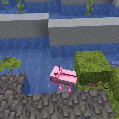 星际交易的奇迹,穿梭时空的商人最新章节更新