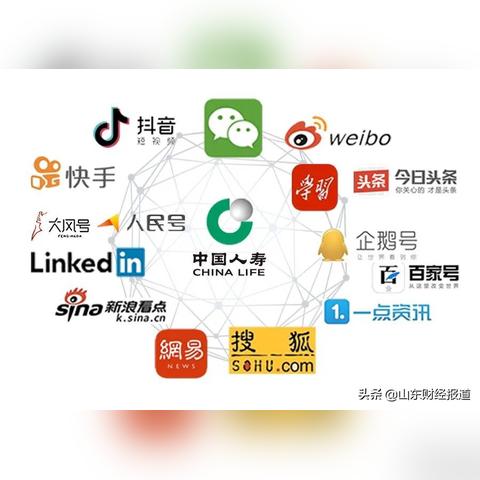 国寿e宝下载指南，全面解析与实用指南