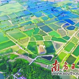 最新小型食品机械设备，革新食品工业的先锋