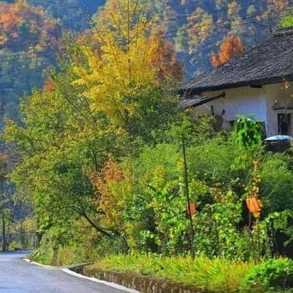 清新高速最新动态报道