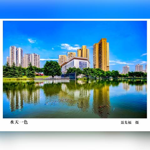 重庆空港新城最新动态速递