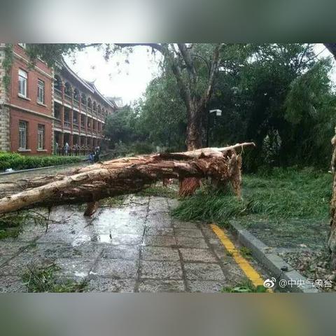 厦门台风动态更新,2025最新预警信息