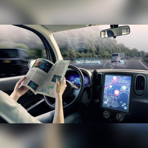 宠大集团最新深度报道，揭秘最新动态