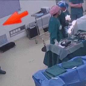 山东春季高考最新动态通知