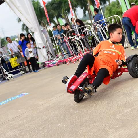 深圳司机招聘网最新职位，职业发展与前景探索