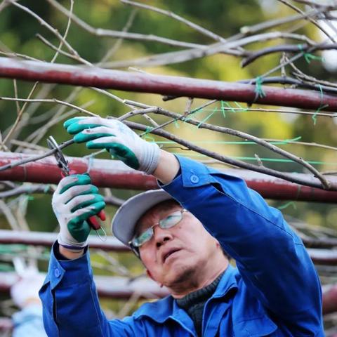 亿嘉新城最新动态速递