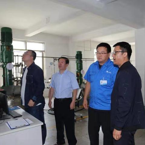 金河投资最新消息全面解析