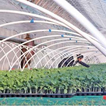 乌达就业局招聘启事，最新职位空缺