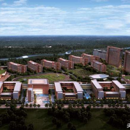 衡安中学最新动态深度解析