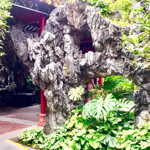 岭南园林创新动态，迈向高峰，发展不止步