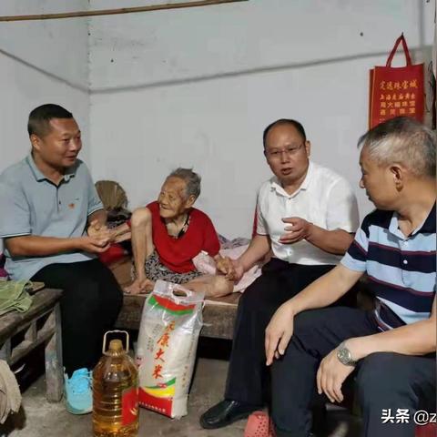 炉桥镇最新动态更新