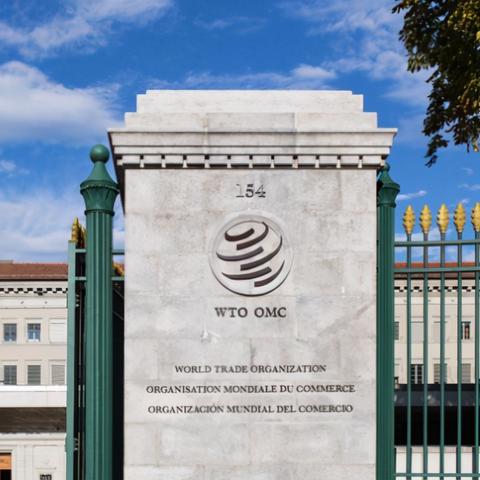 山东棉花补贴最新动态解析