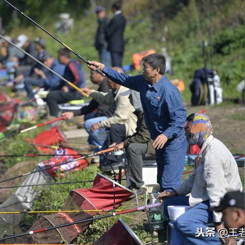 狗撵兔趋势展望，2025年最新分析