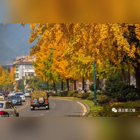 不二大道最新动态，城市重塑与经济发展新蓝图