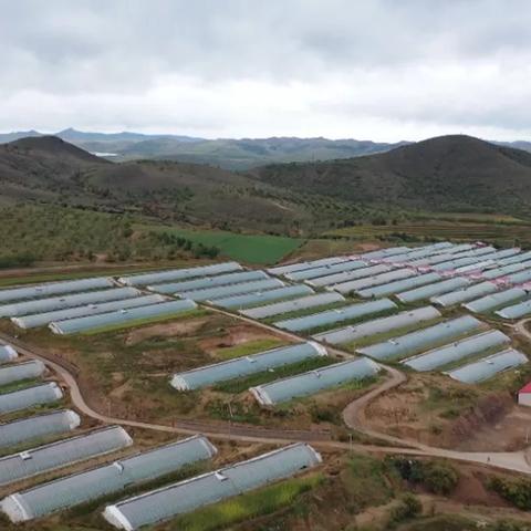 赤峰人才市场最新招聘解析