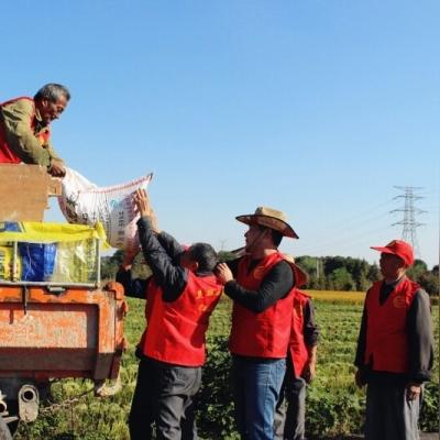 武清最新劳动力招聘信息概览