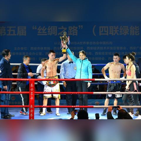 拳王争霸赛，速度与激情的巅峰对决