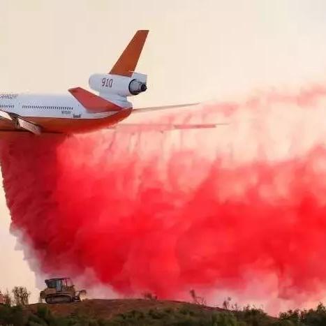 美国加州火灾实时更新，最新消息汇总