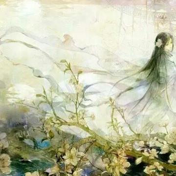 空岚辅助最新下载体验，全面解析与分享