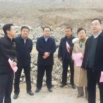 新泰东城田园动态更新，最新消息汇总