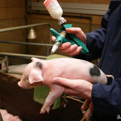 心脑血管特效药最新进展，研究与应用综述