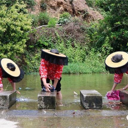 最新客家山歌五句板深度解析