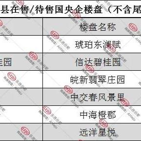 琥珀庄园价格暴跌背后的市场深度解析