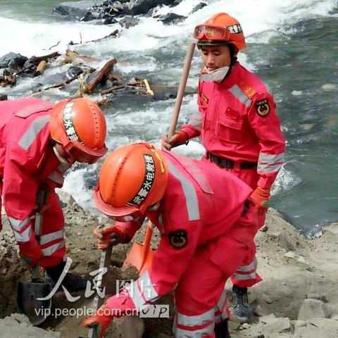 武警黄金部队最新动态深度解读