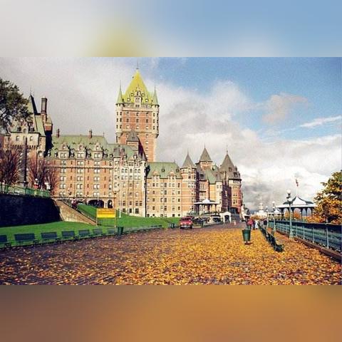 加拿大移民最新信息全面解读与解析