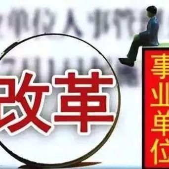 十九人事布局更新，数据驱动决策重塑未来