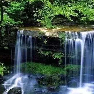 保定干部最新任免动态更新