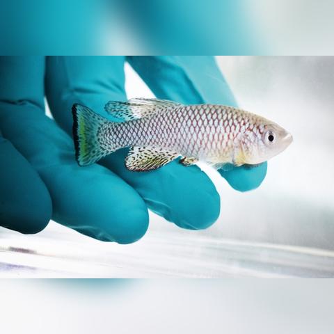 重庆长寿,最新新闻报道概览