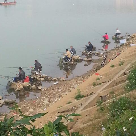 数字时代垂钓新技巧，揭秘最新钓鱼方法