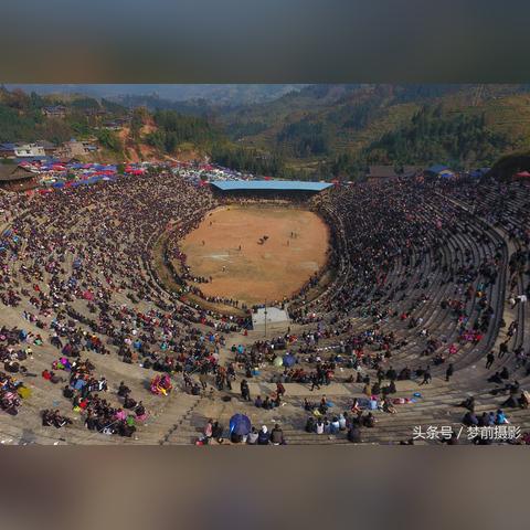 广西牛王比赛视频，传统竞技活力再现