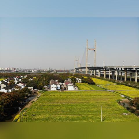 浦江郊野公园更新动态