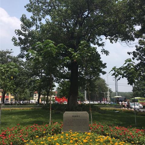 兰考今日新闻热点报道速递