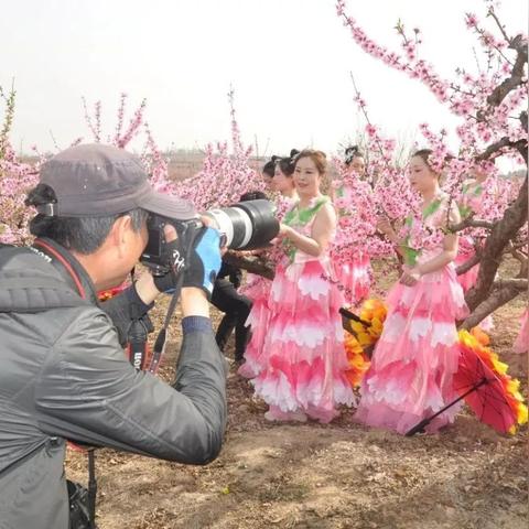 灵宝新房最新售价及市场分析概览