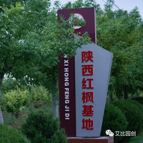 西安苗木求购最新信息解析