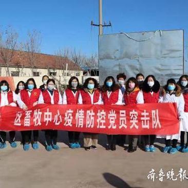 最新乡镇兽医改革，重塑农村动物健康防线保障行动