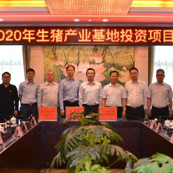 定南经济发展迎新突破，最新新闻视频报道