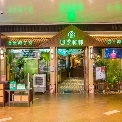 椰子新款2025，时尚科技融合典范