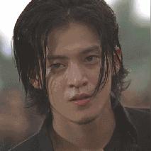 吴彦祖综艺节目热血挑战深度解读与数据分析