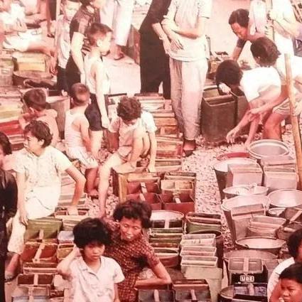 香港电影繁荣交汇点与未来展望,展望香港电影新篇章