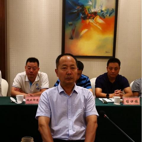 陕西西乡最新规划，蓝图下的繁荣未来