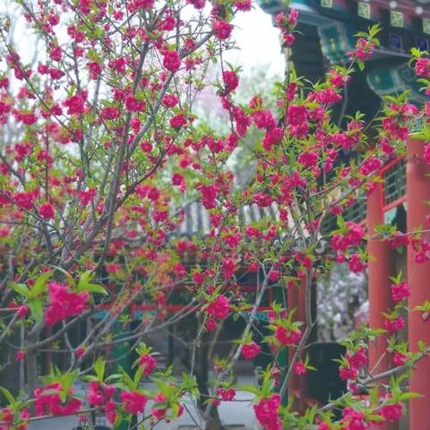 晋州最新地图详细解析