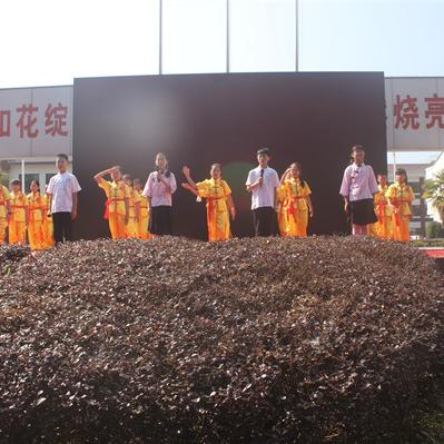 舒城孔集改造升级,重塑乡村魅力,走向现代化进程