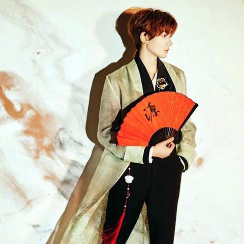 黑夜中的白羊，最新小说神秘探秘之旅