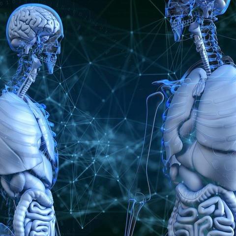 数据驱动个性化营销新理念解析